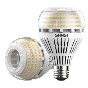 A21 27W LED 3000K/5000K Light Bulb