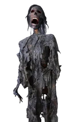 Burnt Mummy with Clothes